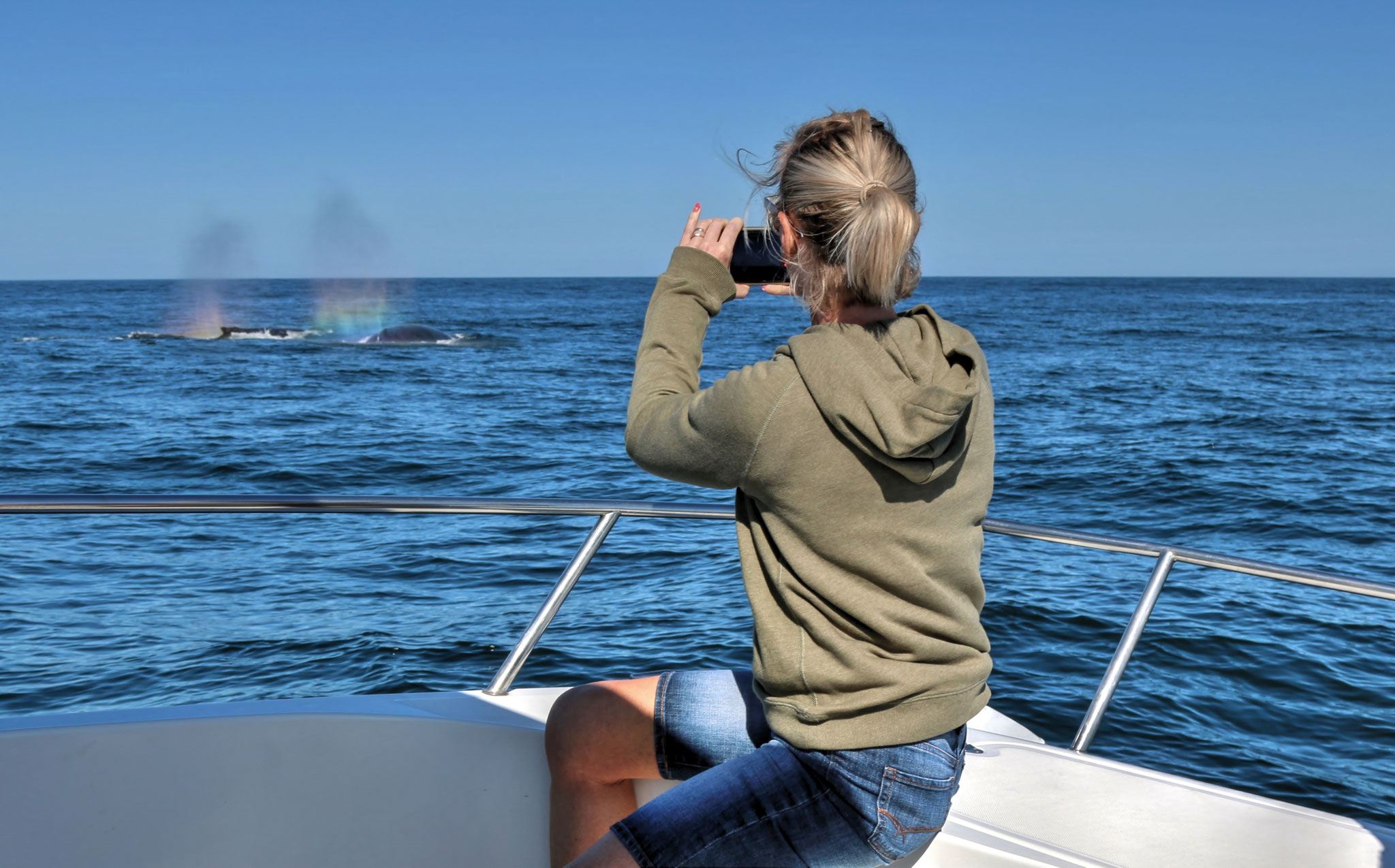 A guest photographing whales from the deck of the catamaran